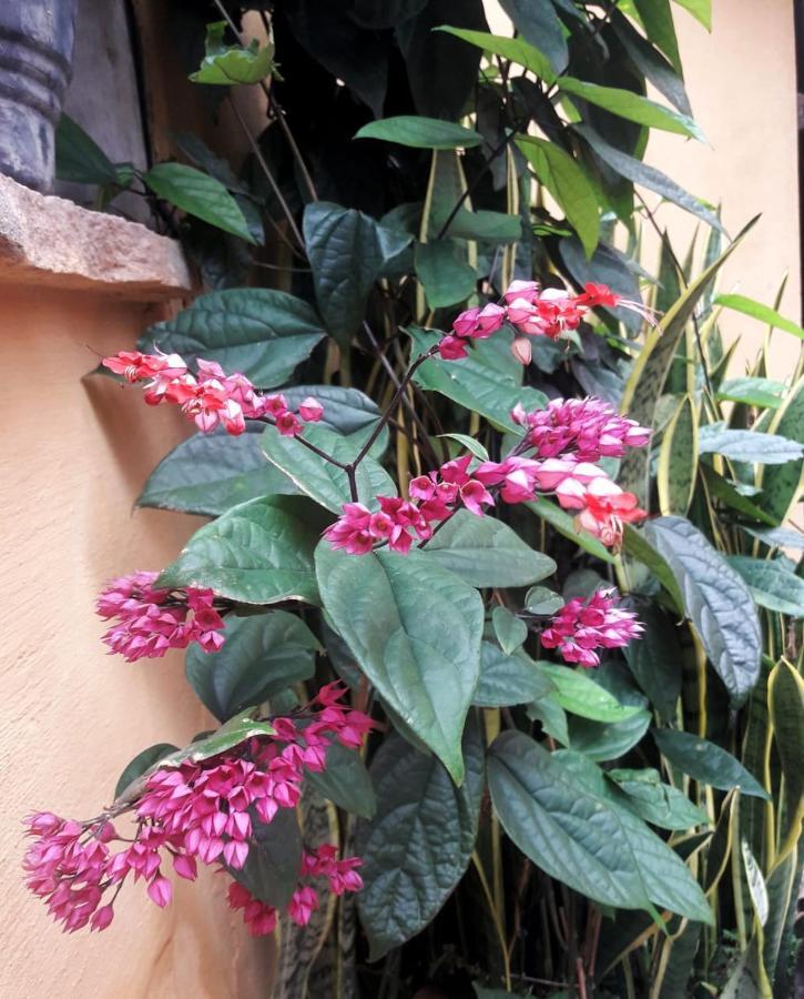 Recanto Villa Sao Joao パウメイラス エクステリア 写真